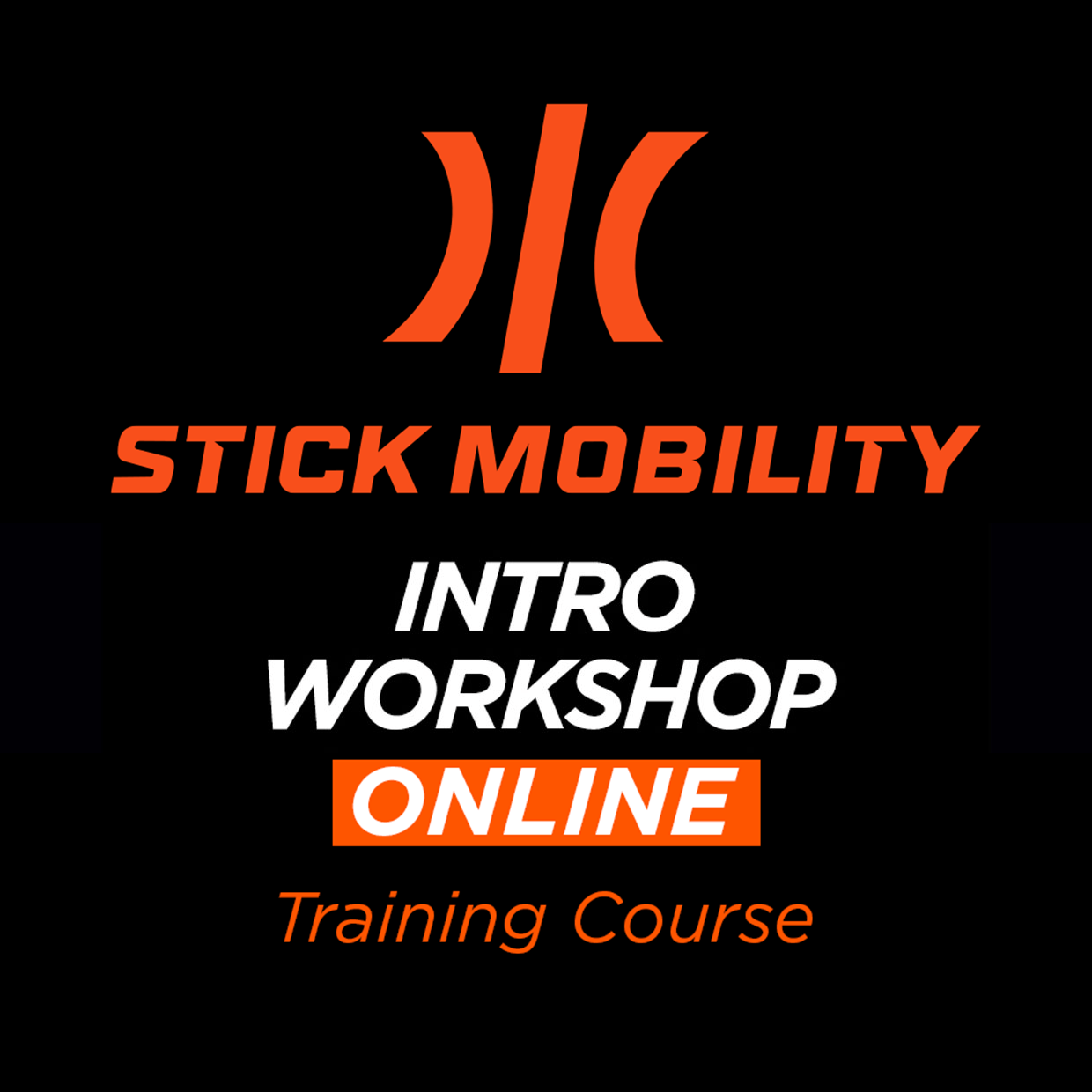 Online Introductory Workshop - Stick Mobility US